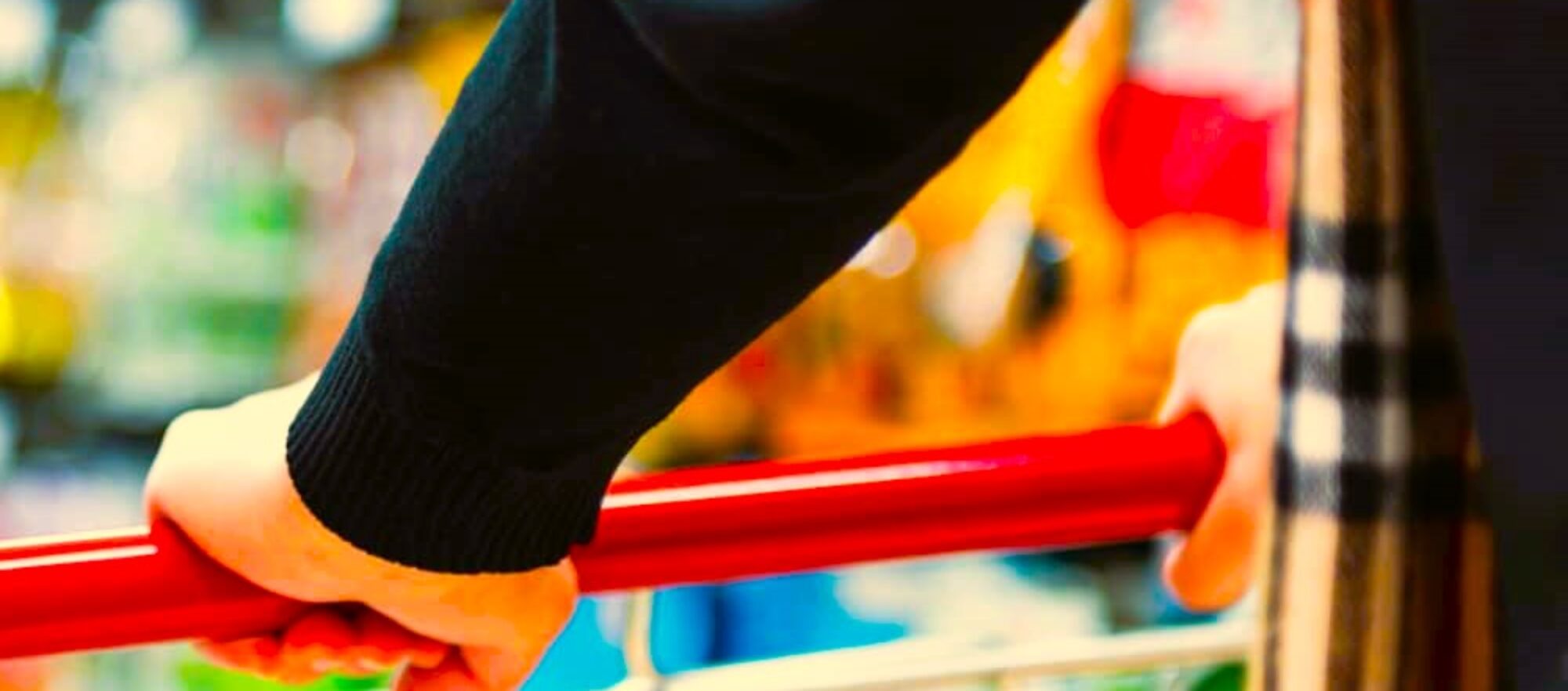 | European Importers and Distributors - EMN Europe Organic Food ...